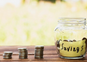 Understanding the Basics of a Savings Bank Account